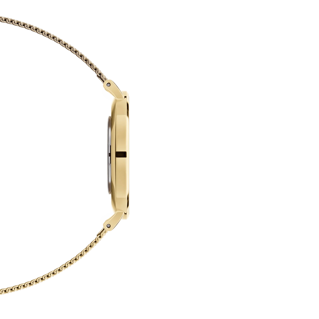 Daniel Wellington Ladies Watch Dw00100346 -korean beauty