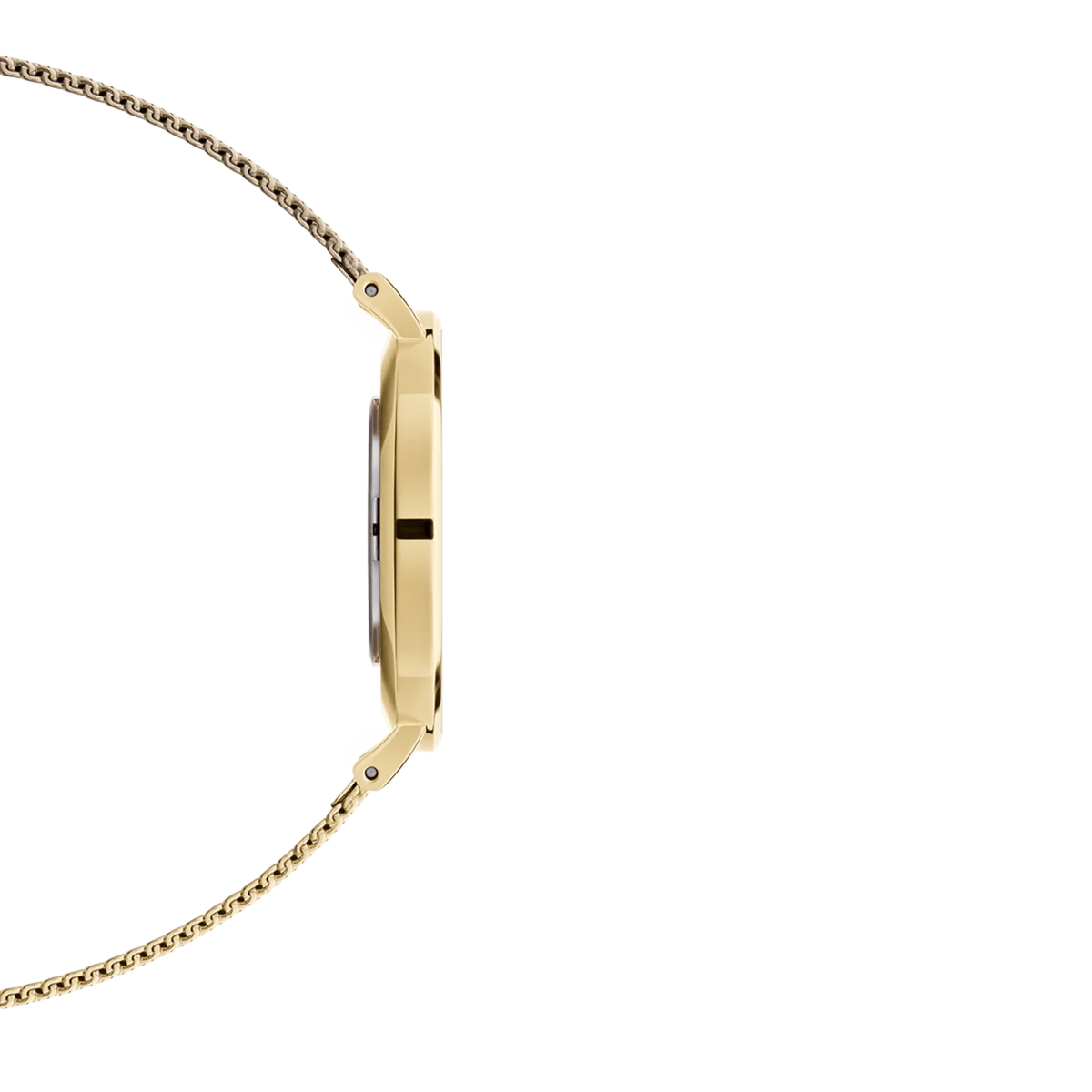 Daniel Wellington Ladies Watch Dw00100346 -korean beauty