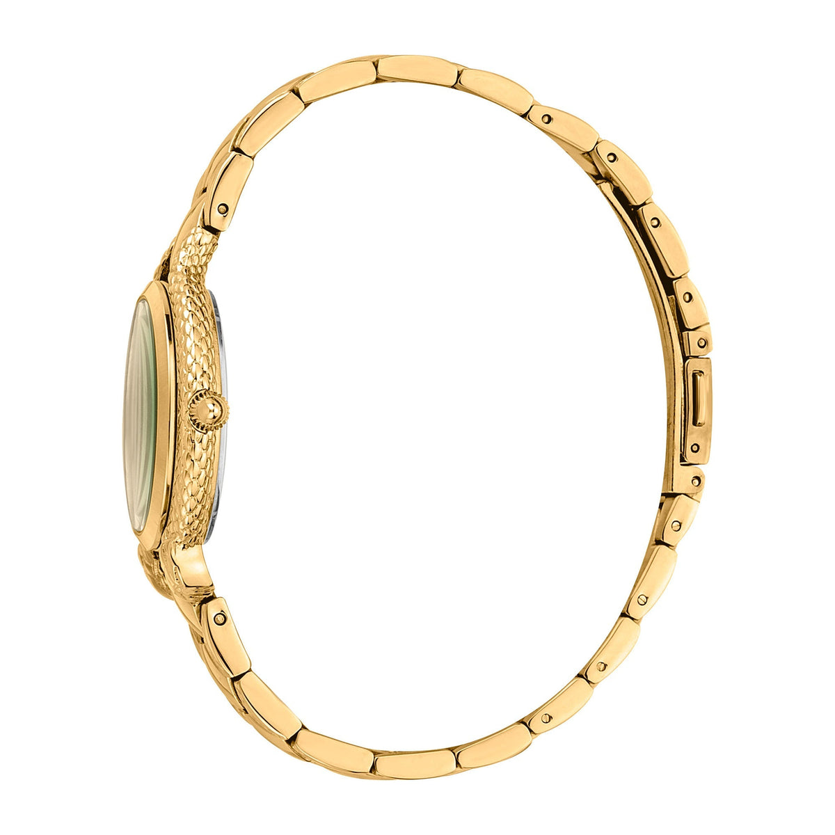 Just Cavalli Cerimonioso Yellow Gold Green -korean beauty