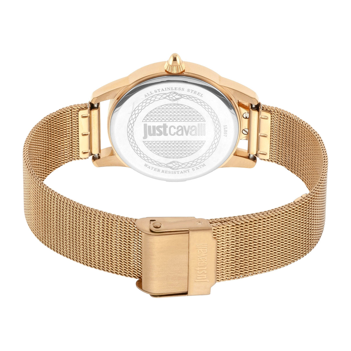 Just Cavalli JC Shine 2 Yellow Gold Glitter -korean beauty