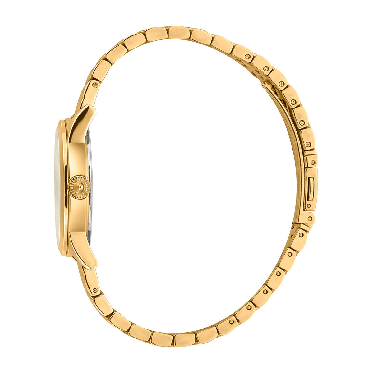 Just Cavalli Donna affascinante Yellow Gold Silver -korean beauty
