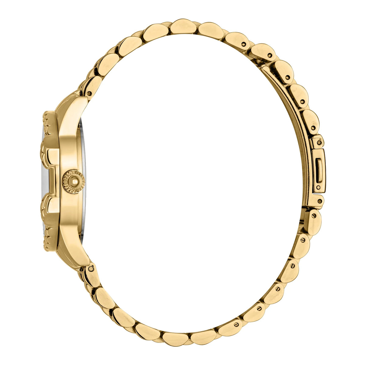 Just Cavalli Diva Yellow Gold -korean beauty