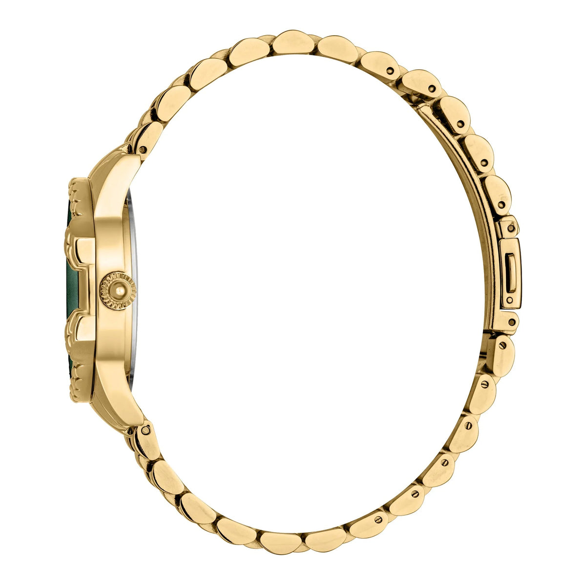 Just Cavalli Diva Yellow Gold Green -korean beauty