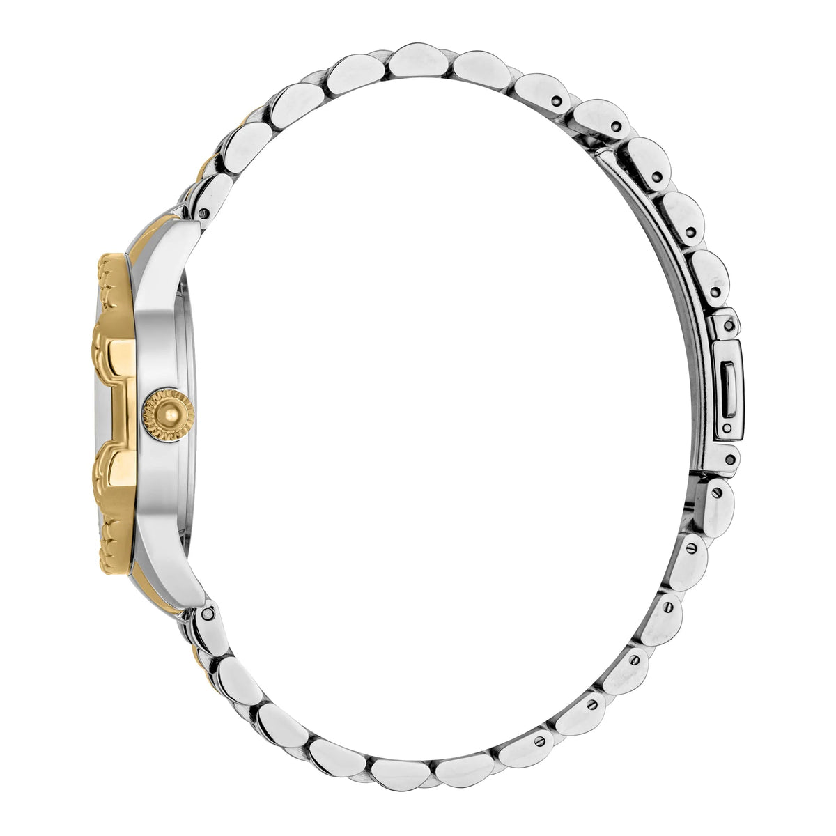 Just Cavalli Diva 2-Tone Yellow Gold -korean beauty