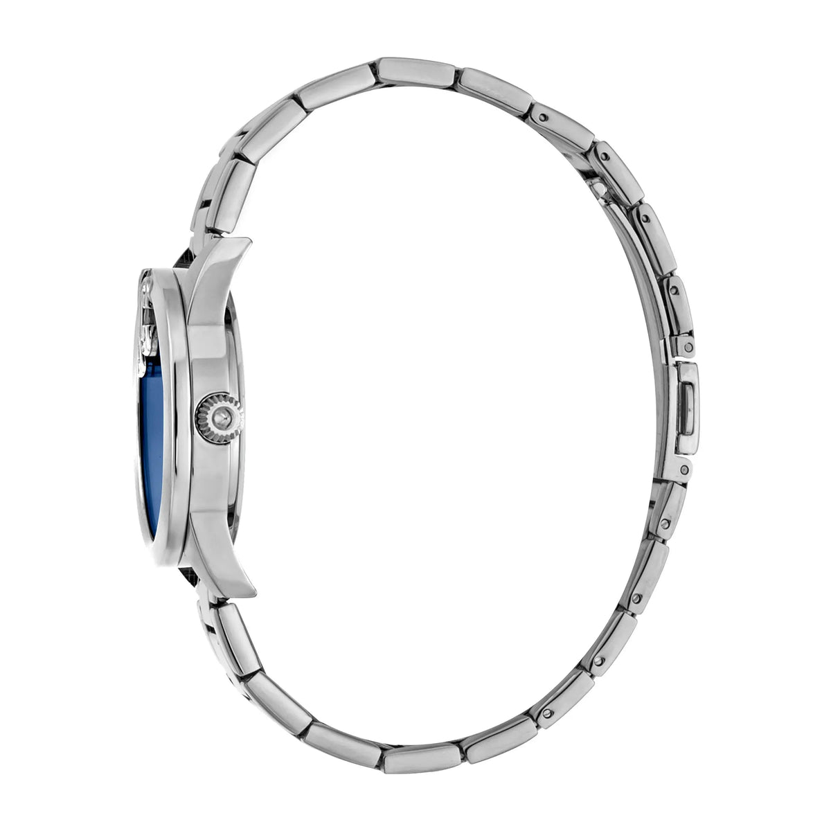 Just Cavalli Logomania SET Steel Blue Zebra Zircons -korean beauty