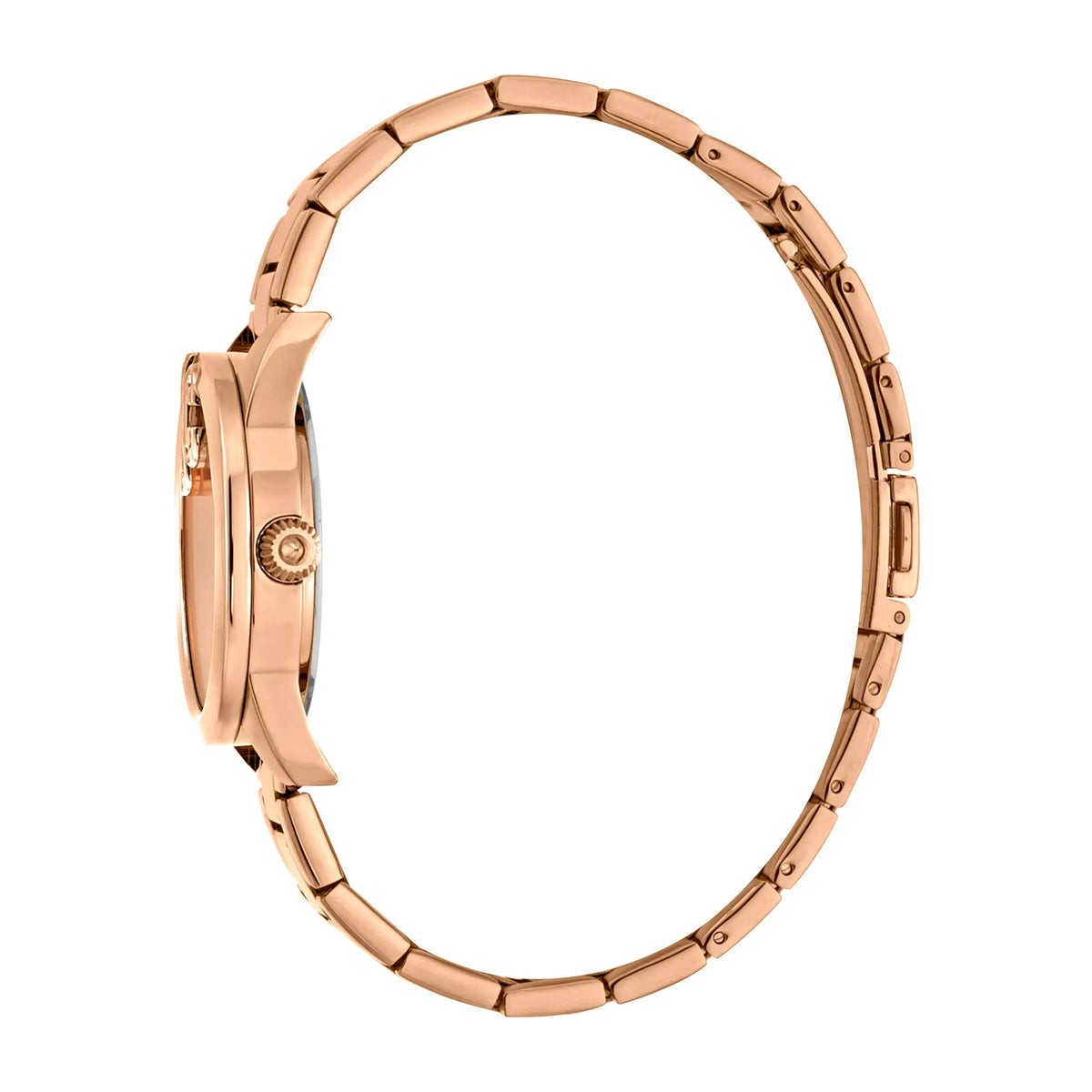 Just Cavalli Logomania SET Steel Rose Gold Zebra Zircons -korean beauty
