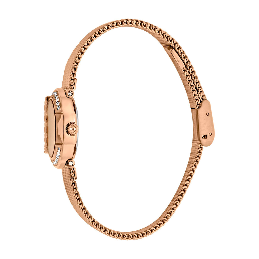 Just Cavalli C by JC Rose Gold -korean beauty