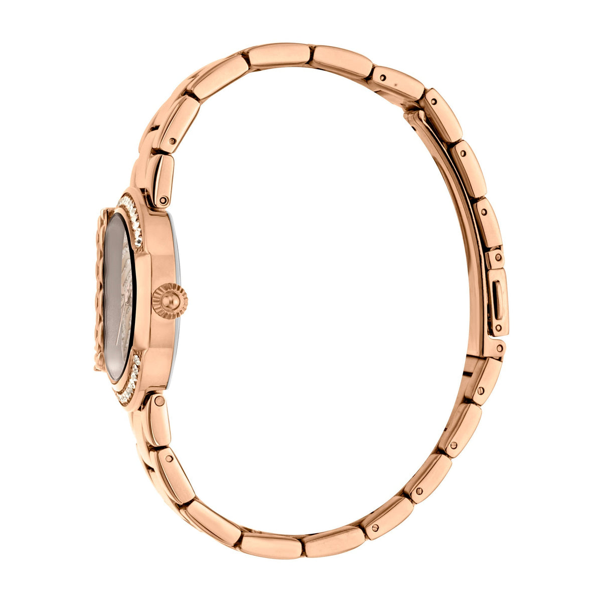Just Cavalli C by JC XL Rose Gold -korean beauty