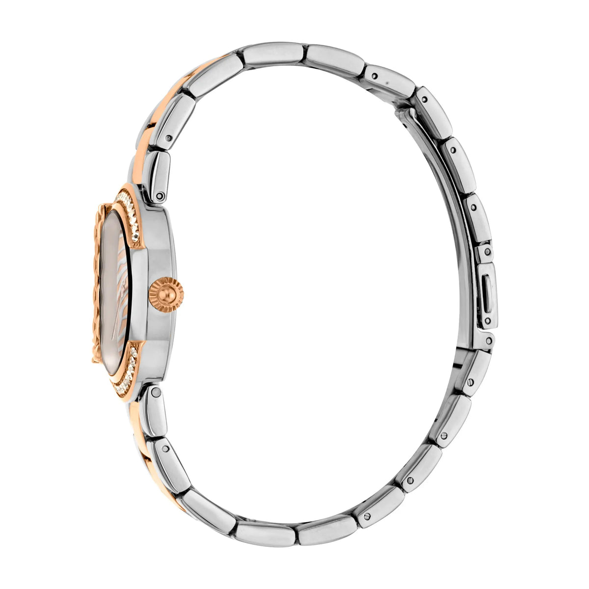 Just Cavalli C by JC XL Two Tone Rose Gold -korean beauty