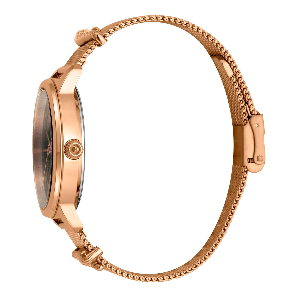 Just Cavalli Just per me Steel Rose Gold Blue Zebra Glitter -korean beauty
