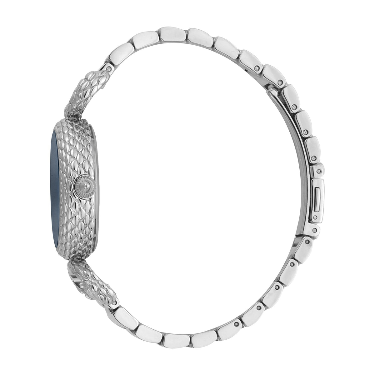 Just Cavalli Snake Inside Steel Blue -korean beauty