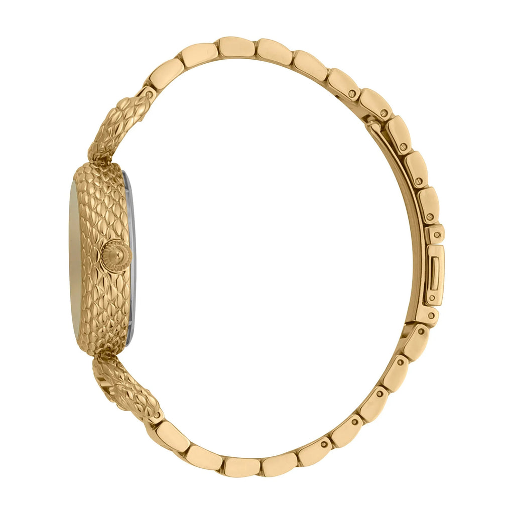 Just Cavalli Snake Inside Gold Champagne -korean beauty
