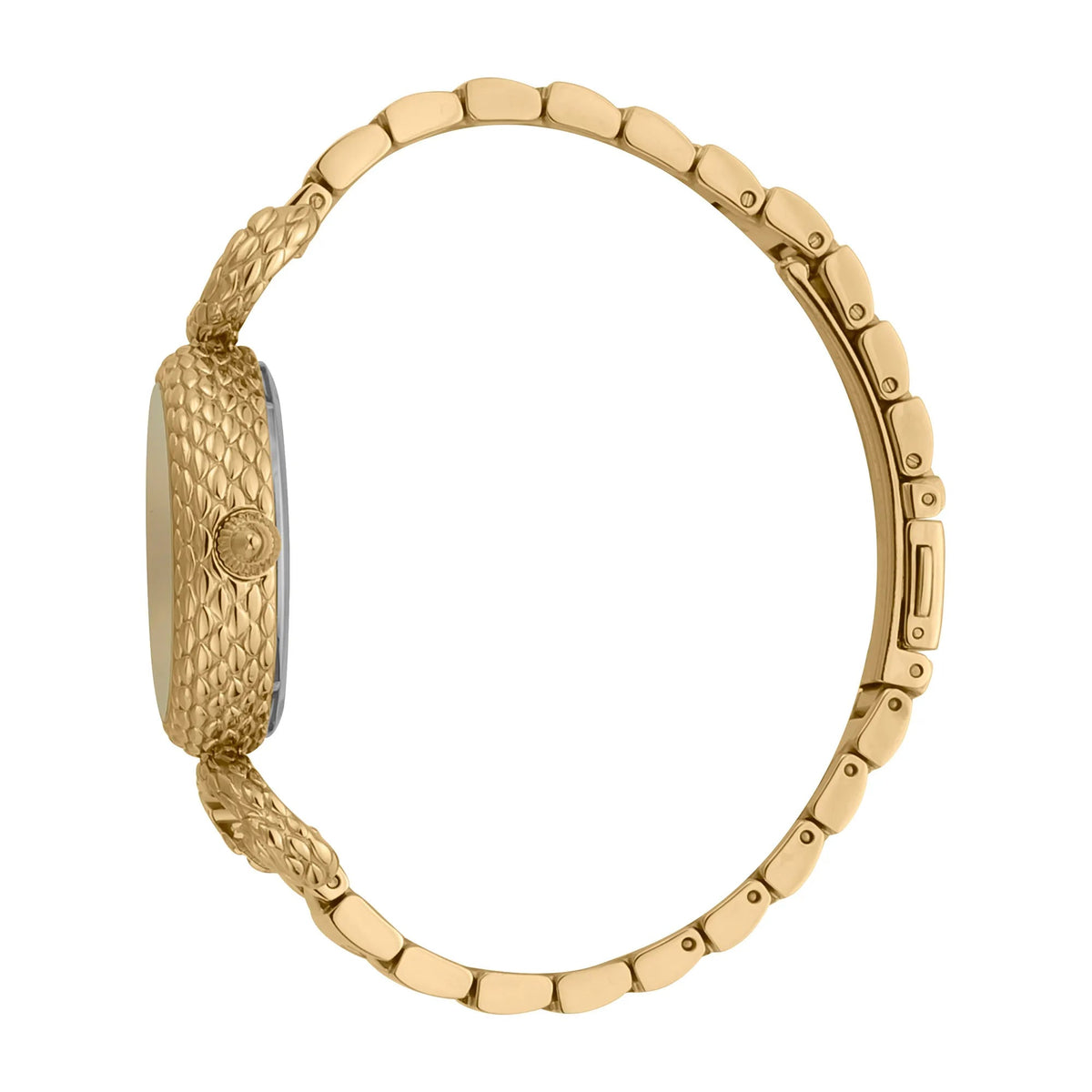 Just Cavalli Snake Inside Gold Champagne -korean beauty