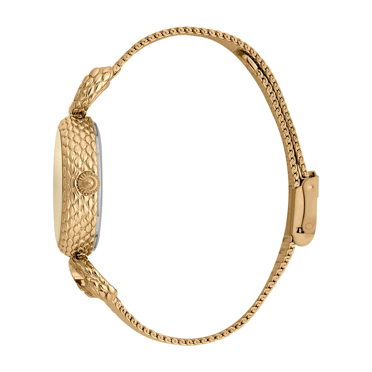 Just Cavalli Snake Inside Gold -korean beauty
