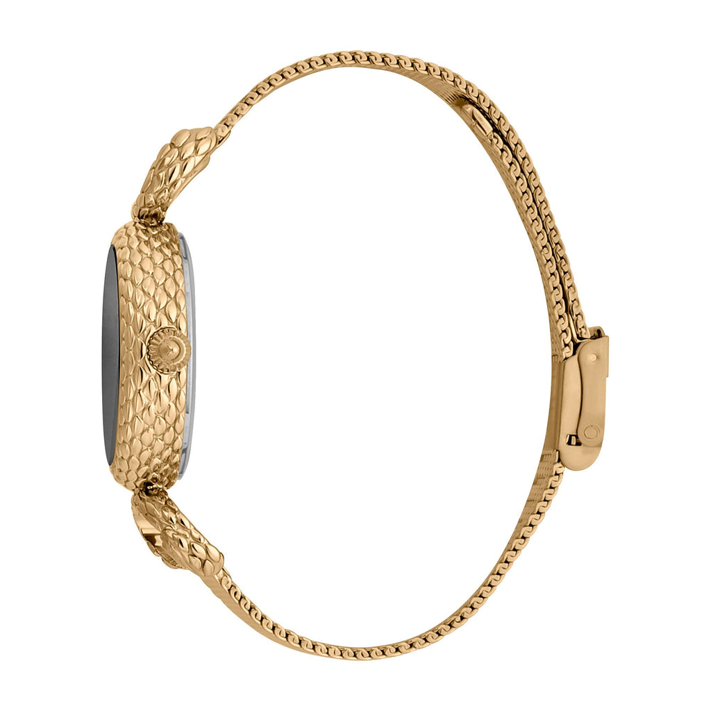 Just Cavalli Snake Inside Gold Grey -korean beauty