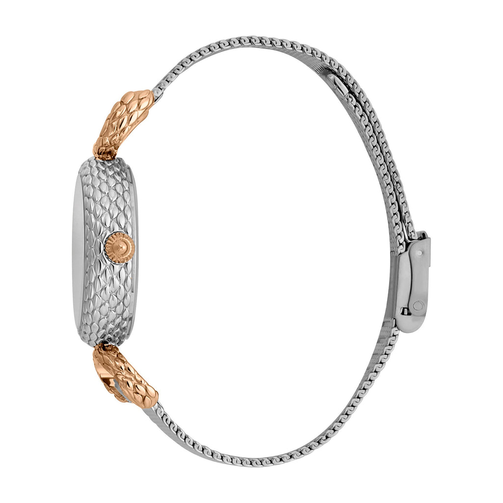 Just Cavalli Snake Inside Two Tone -korean beauty