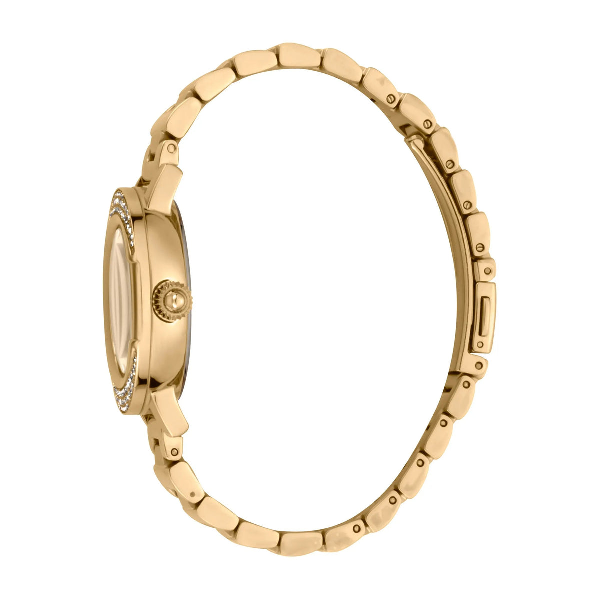 Just Cavalli Yellow Gold Champagne -korean beauty