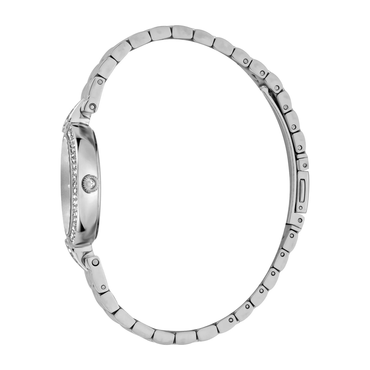 Just Cavalli Nobile Glam Silver Steel -korean beauty