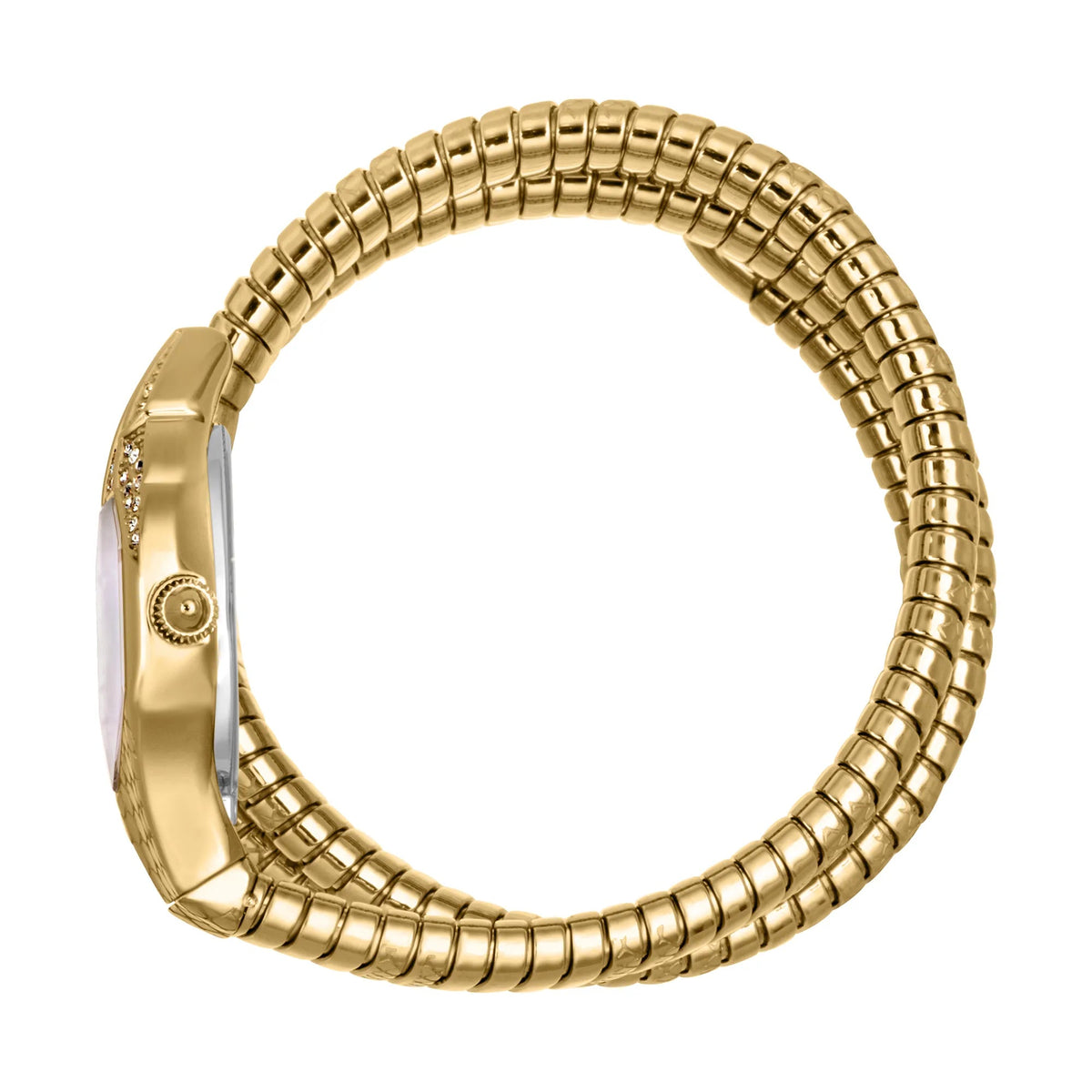 Just Cavalli Glam Evo 7 Doppio Yellow Gold MOP -korean beauty