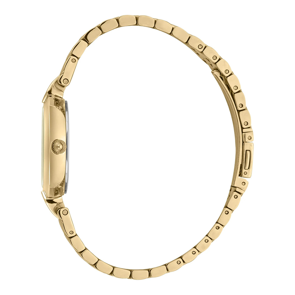 Just Cavalli Donna moderna Yellow Gold Champagne -korean beauty