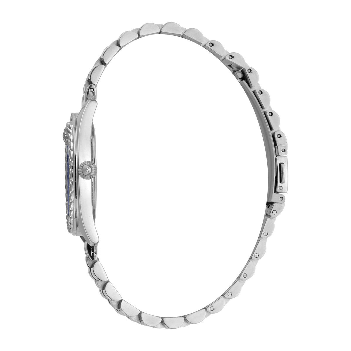Just Cavalli Brillante Steel -korean beauty