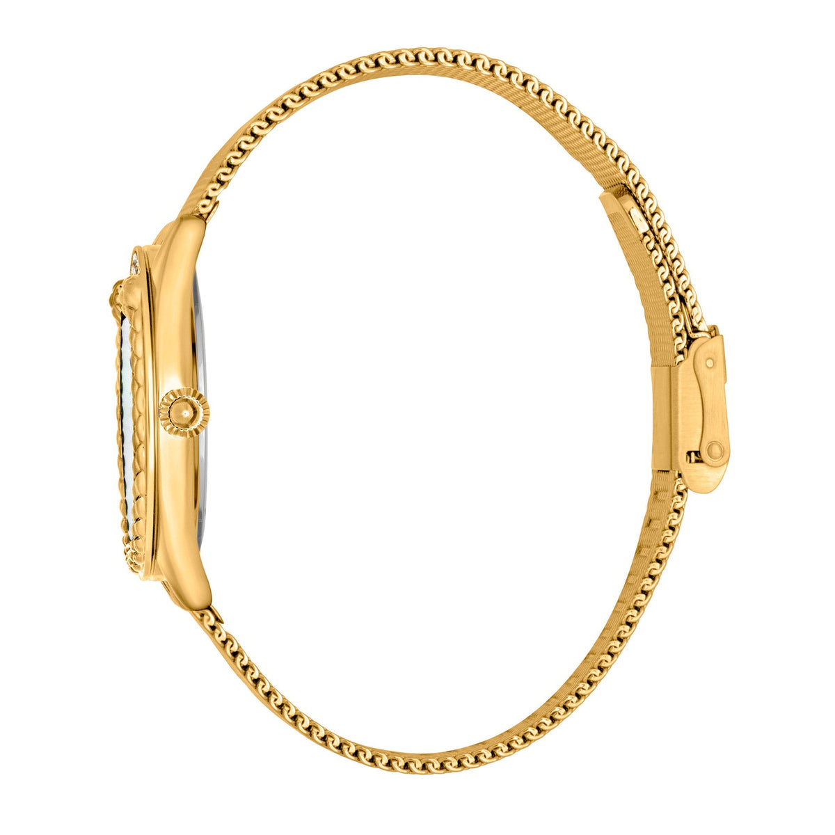 Just Cavalli Prestigio 2 Yellow Gold MOP -korean beauty