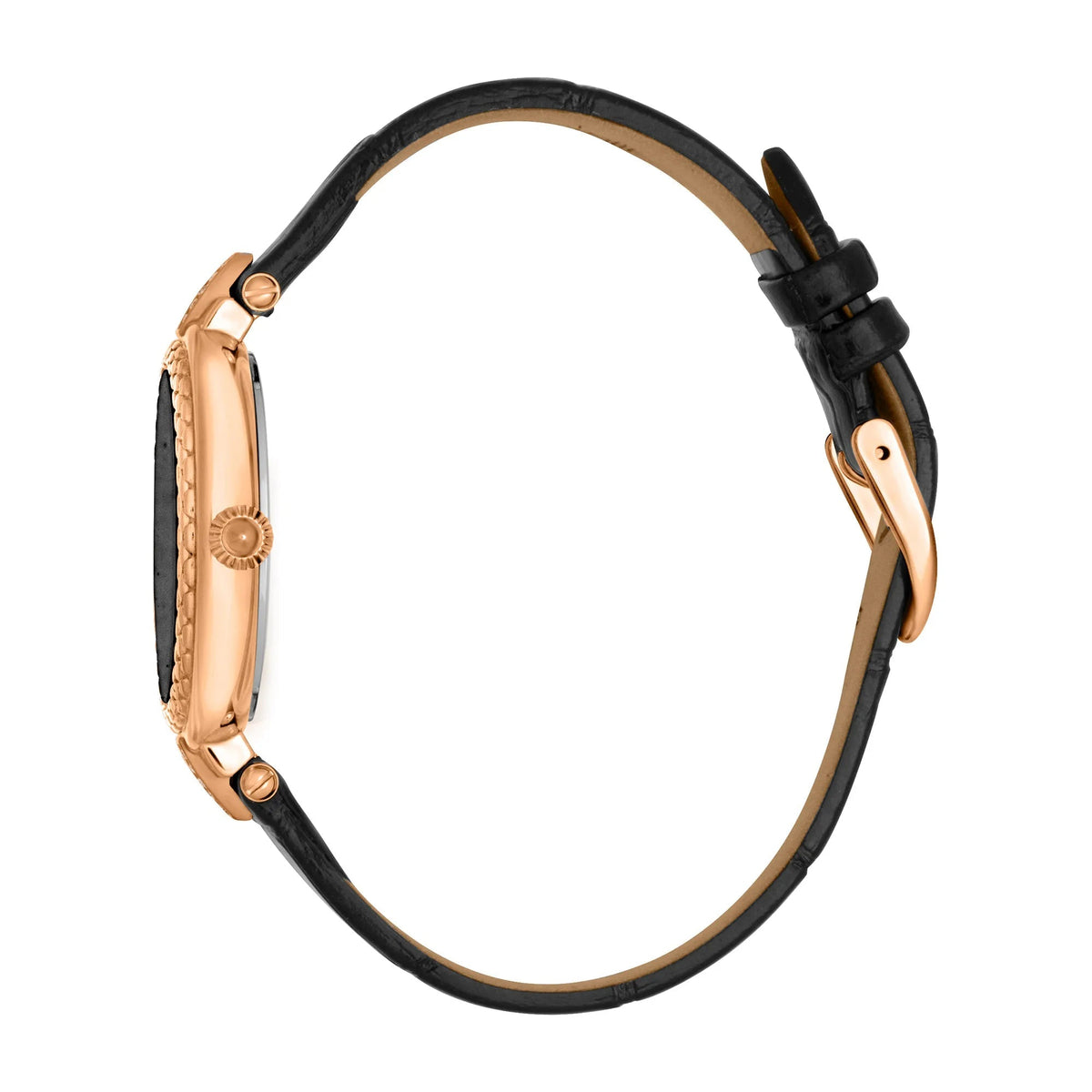 Just Cavalli Snake Creazione Black Leather -korean beauty