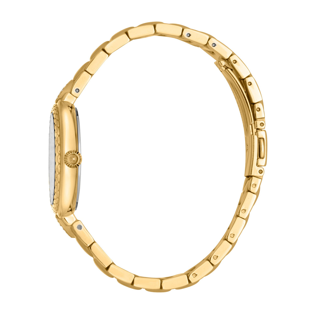 Just Cavalli Snake Creazione Yellow Gold -korean beauty