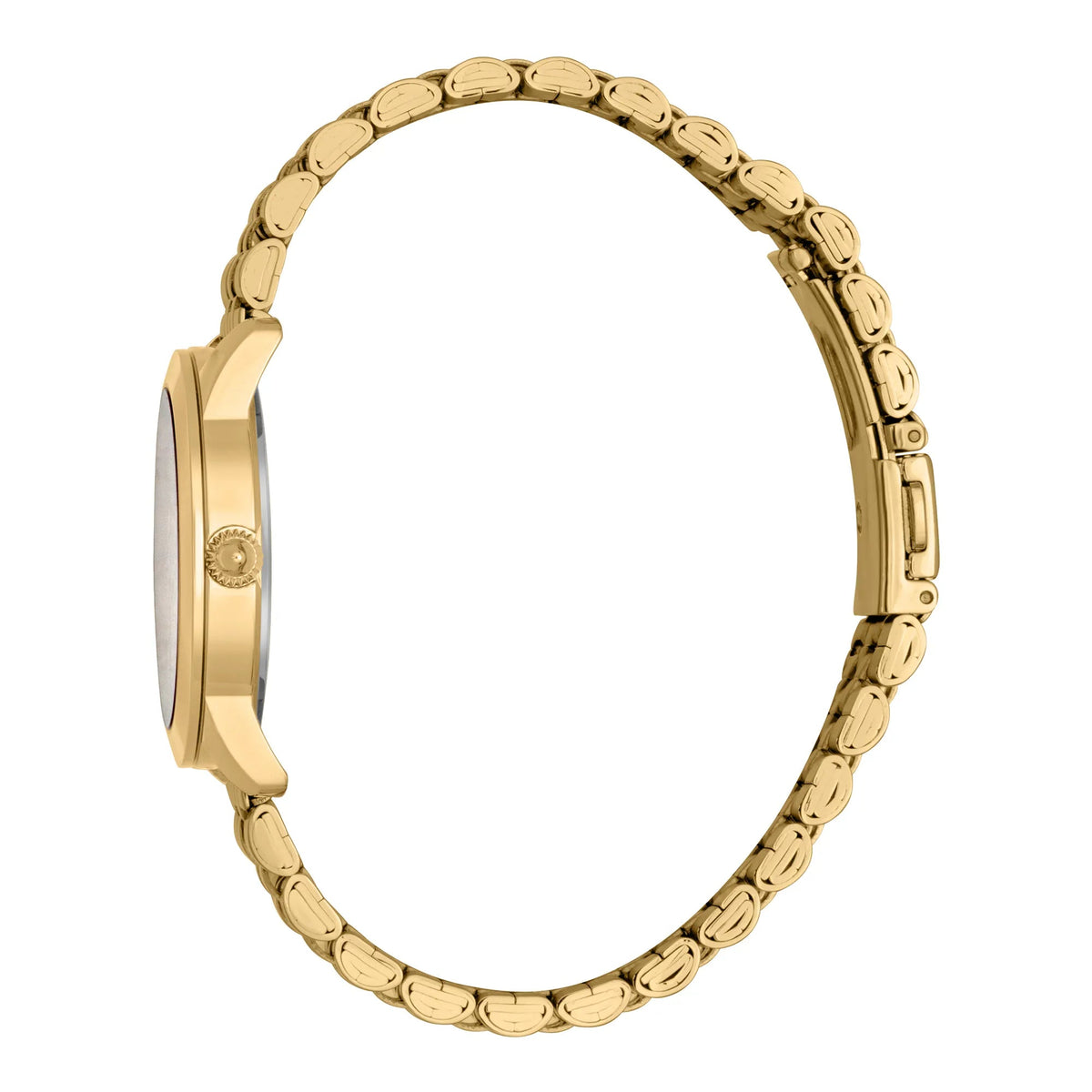 Just Cavalli Glam Creazione Yellow Gold -korean beauty
