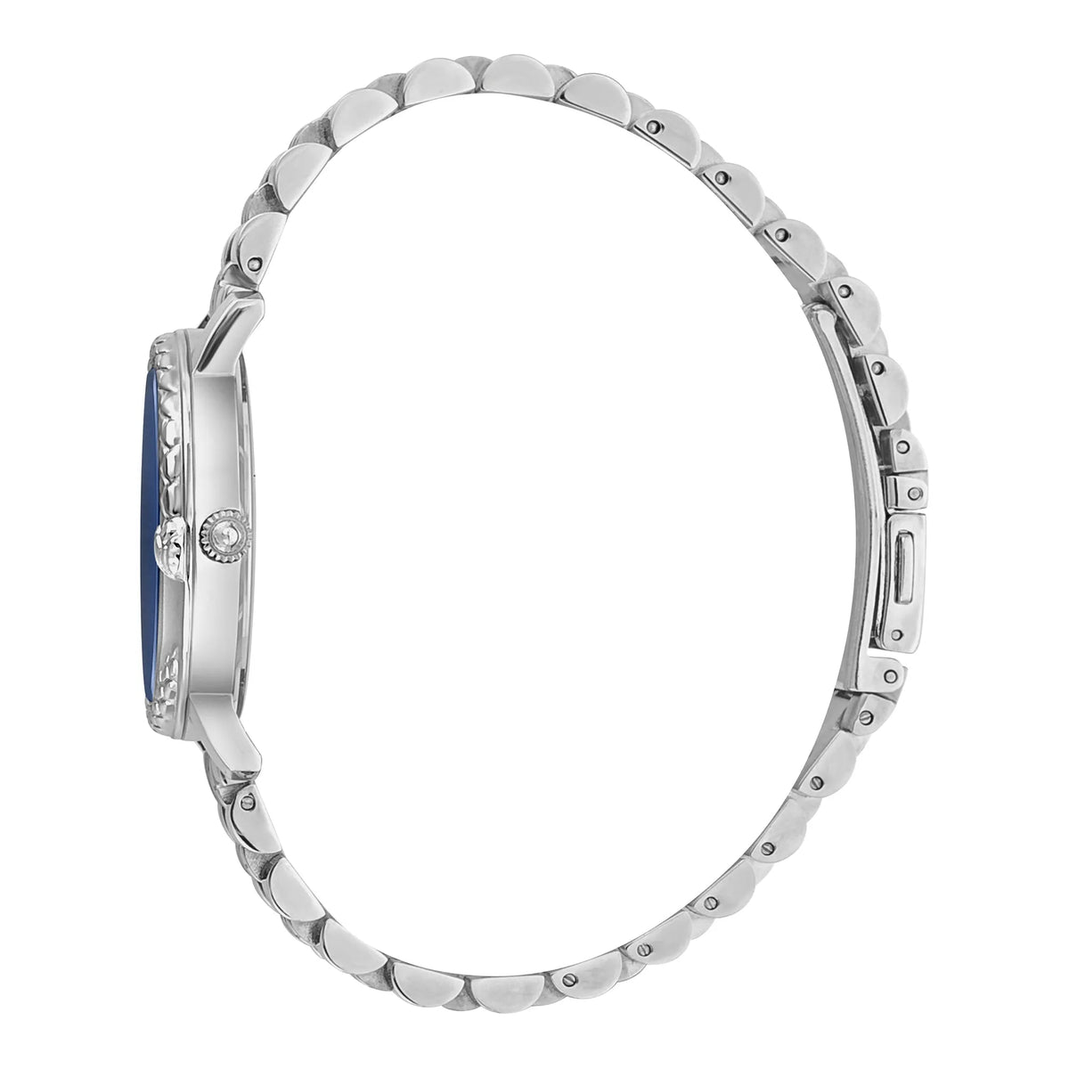 Just Cavalli Donna sempre Silver Blue -korean beauty