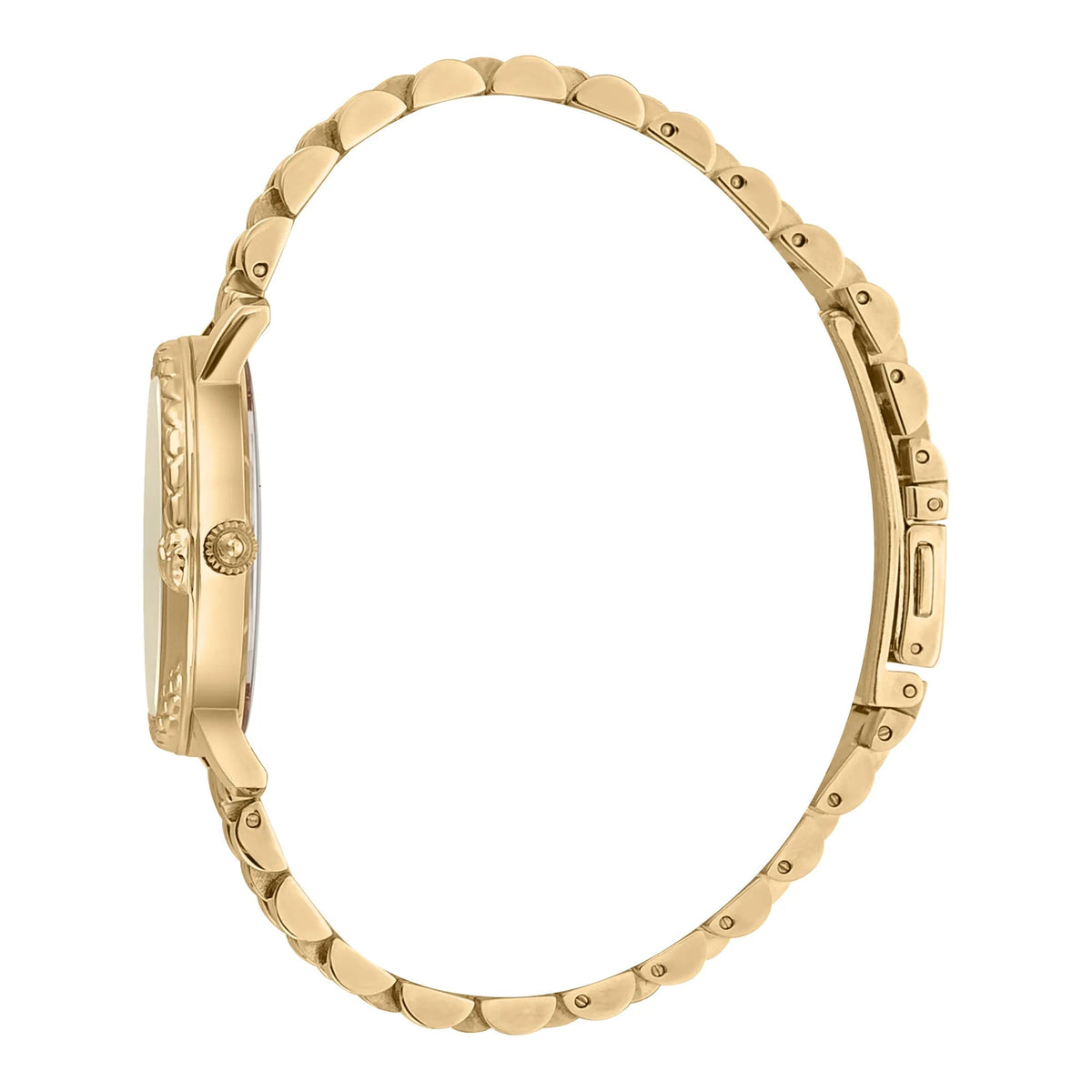 Just Cavalli Donna sempre Yellow Gold Champagne -korean beauty