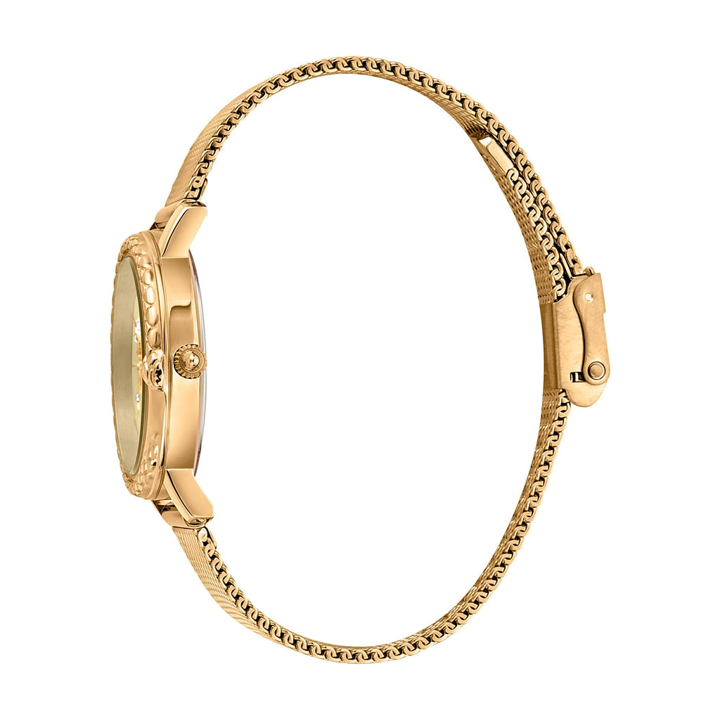 Just Cavalli Brillante Yellow Gold Glitter -korean beauty