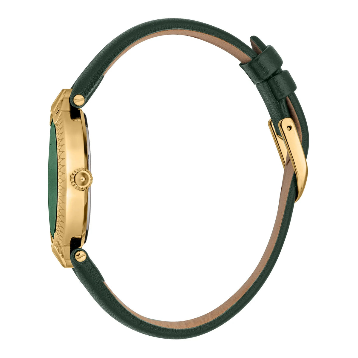 Just Cavalli Creazione Leather Green Gold -korean beauty
