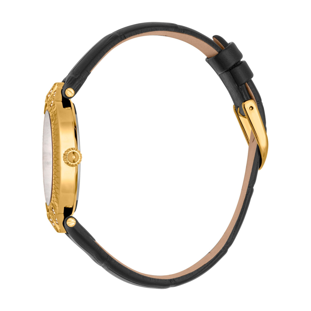 Just Cavalli Luce Leather Black Gold -korean beauty