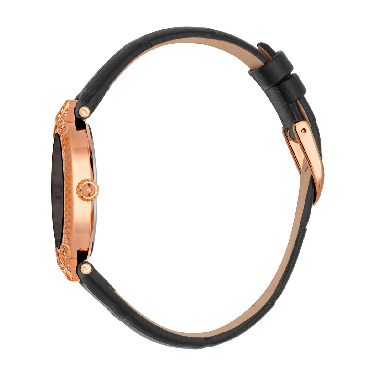Just Cavalli Luce Leather Black RG -korean beauty
