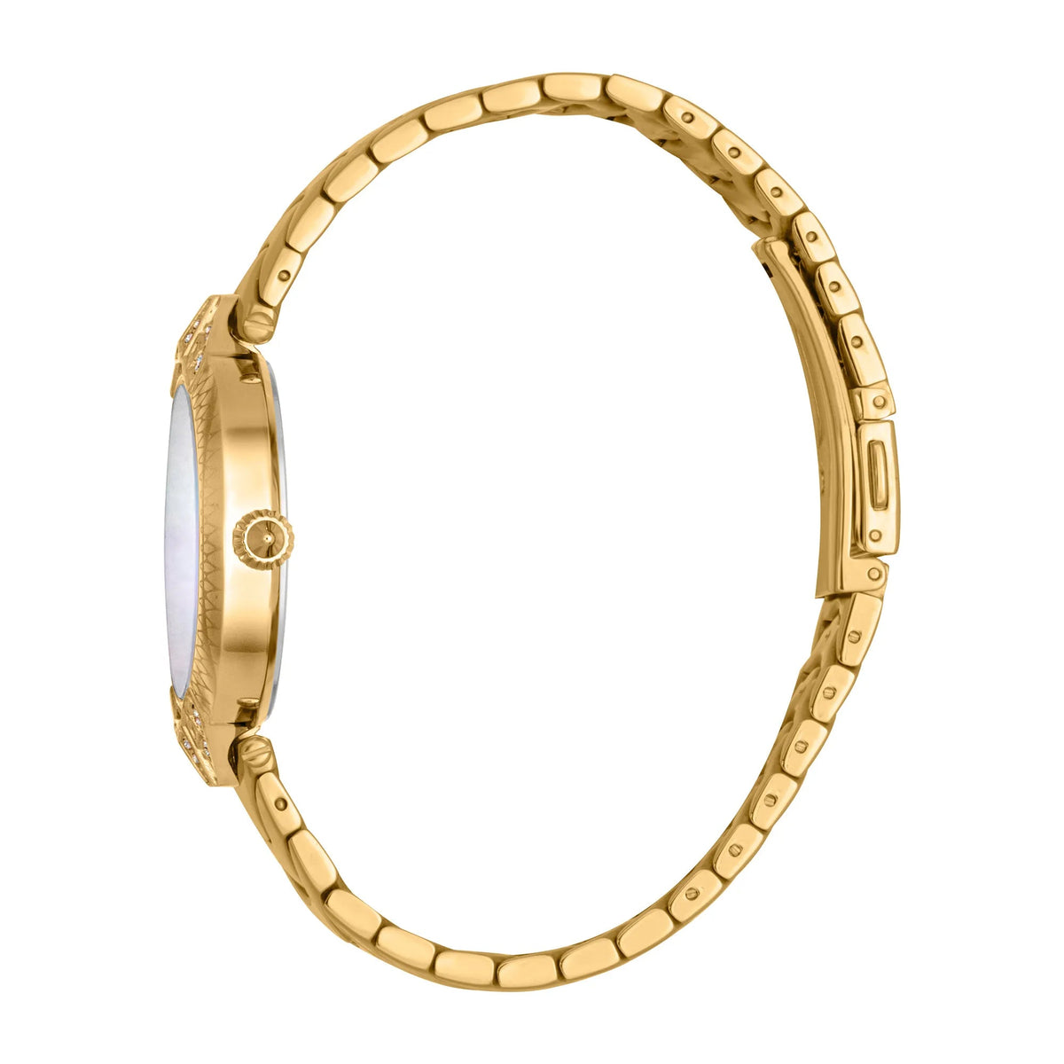 Just Cavalli Luce Yellow Gold MOP -korean beauty