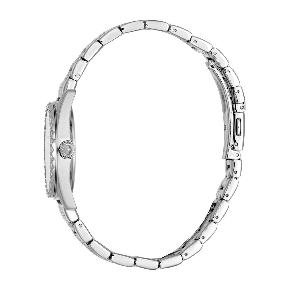 Just Cavalli Fashion Glam Silver Steel -korean beauty