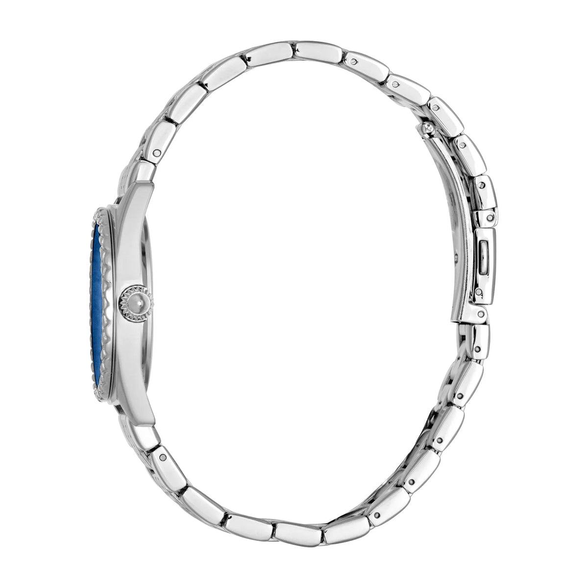 Just Cavalli Fashion Glam Silver Steel Blue -korean beauty