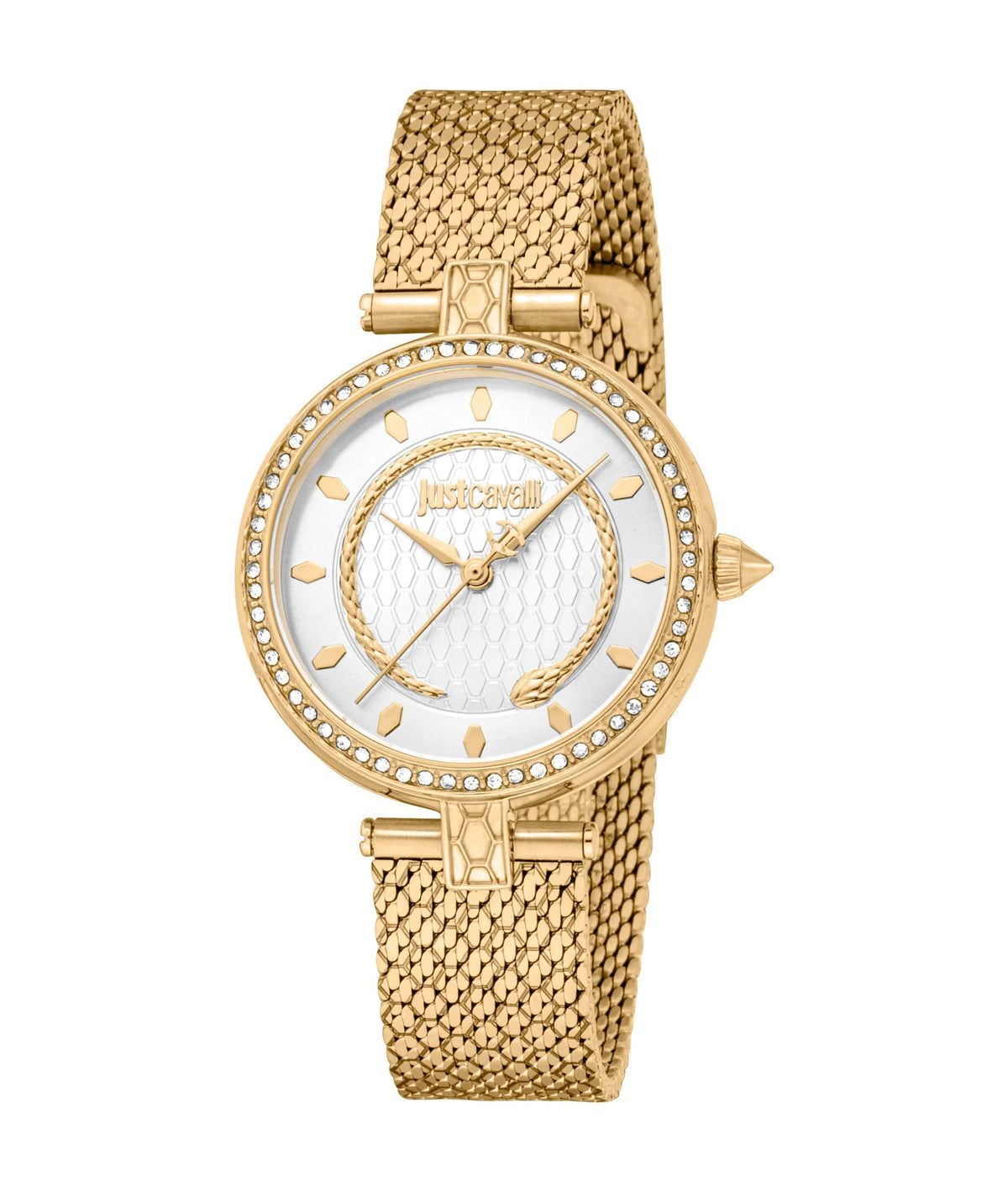 Just Cavalli Obsessive Snake Gold Silver -korean beauty