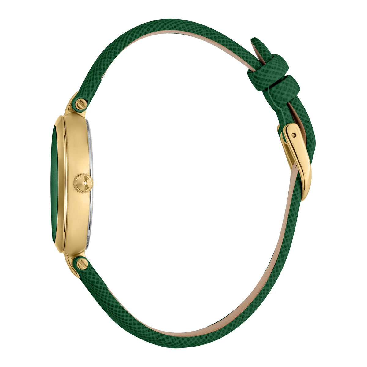 Just Cavalli Maiuscola Leather Green Gold -korean beauty