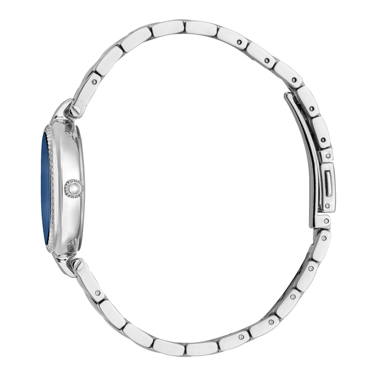 Just Cavalli Donna Leopardo Silver Blue -korean beauty