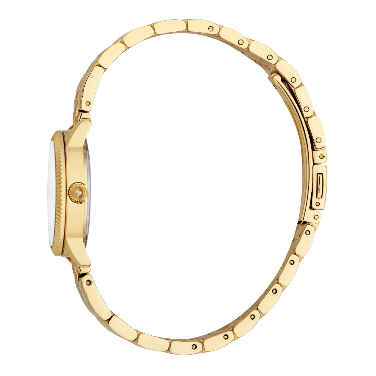 Just Cavalli Daydreamer Yellow Gold Silver -korean beauty