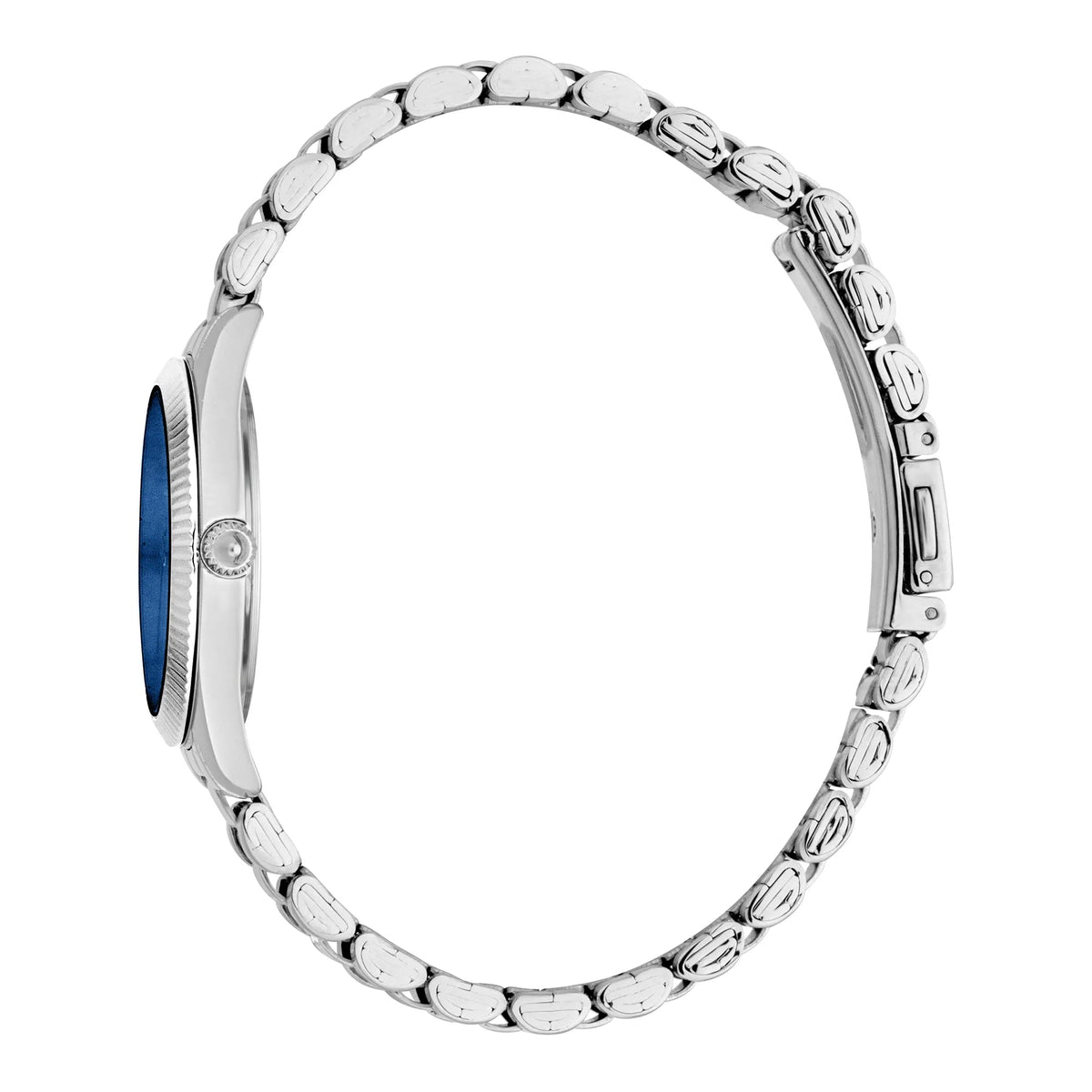 Just Cavalli Pacentro Silver Blue -korean beauty