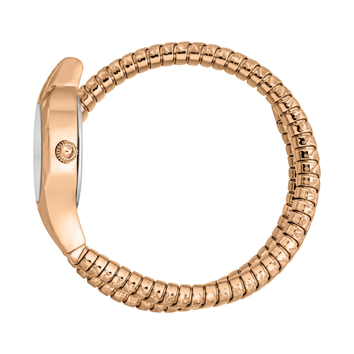 Just Cavalli Amalfi Rose Gold Silver Grey -korean beauty