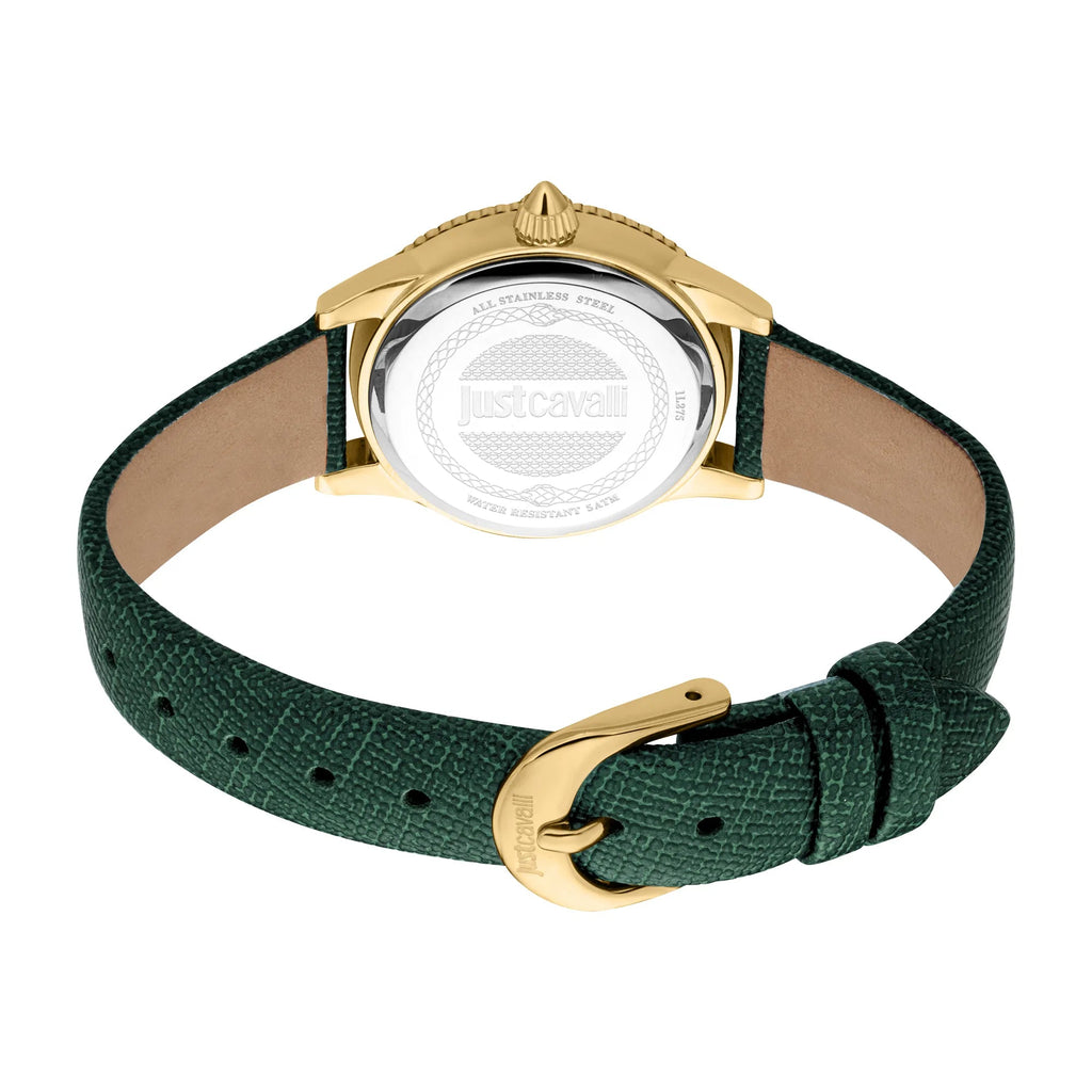 Just Cavalli Neive Leather Green Yellow Gold -korean beauty