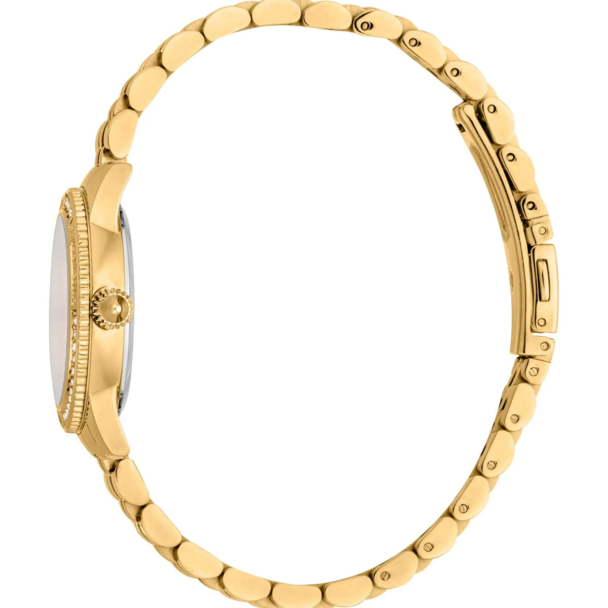 Just Cavalli Neive Yellow Gold Silver -korean beauty