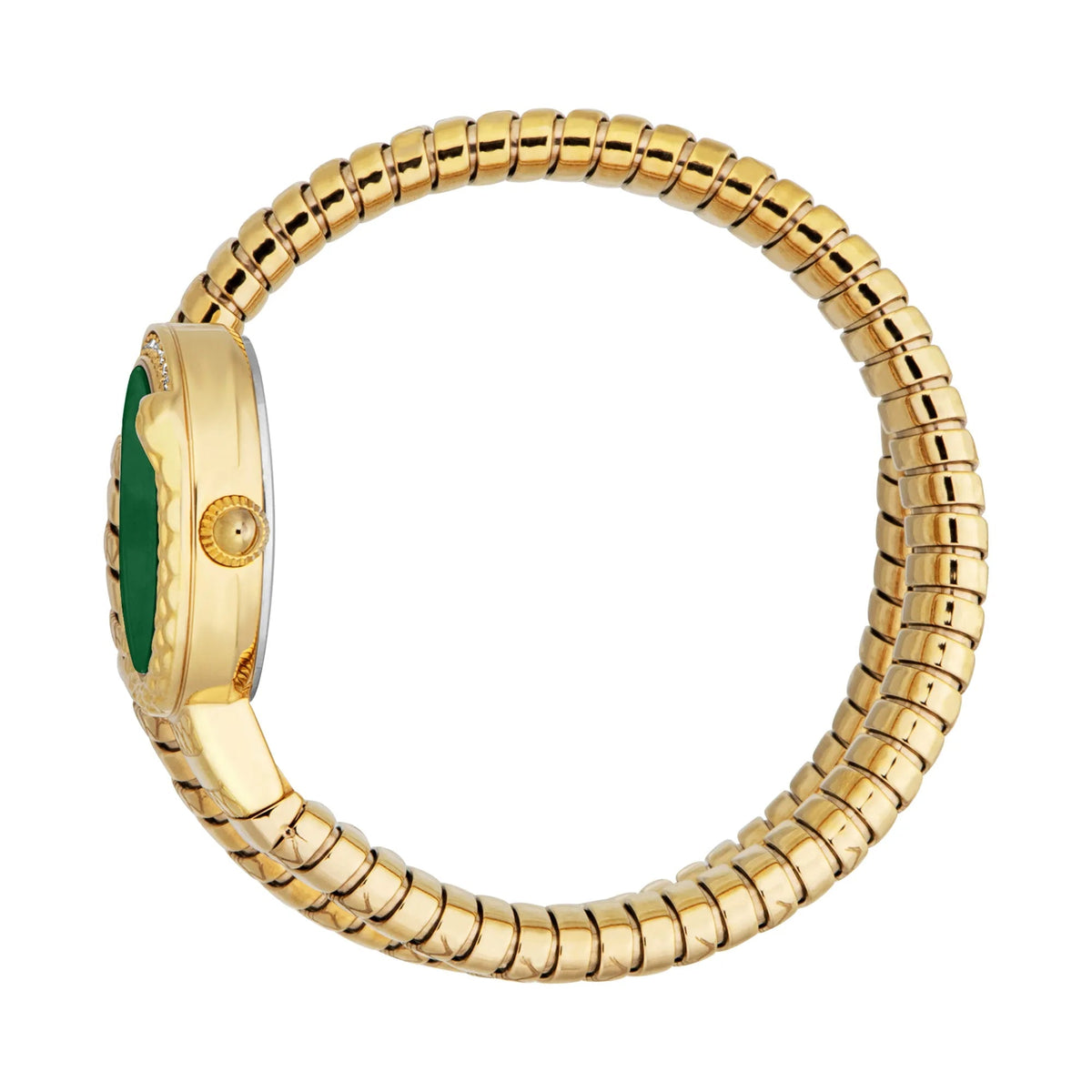 Just Cavalli Cerchio Snake Yellow Gold Bottle Green -korean beauty
