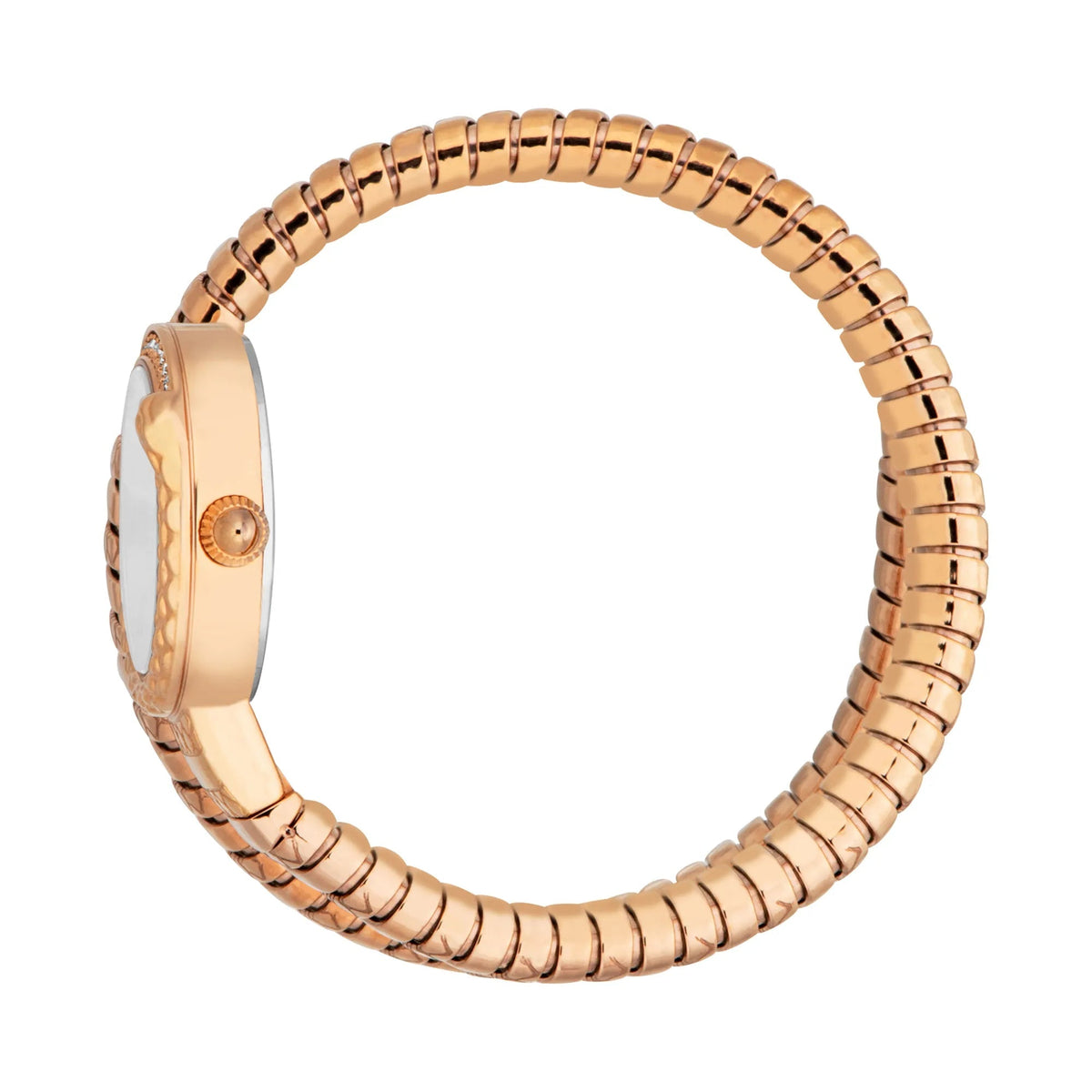 Just Cavalli Cerchio Snake Rose Gold Silver Grey -korean beauty