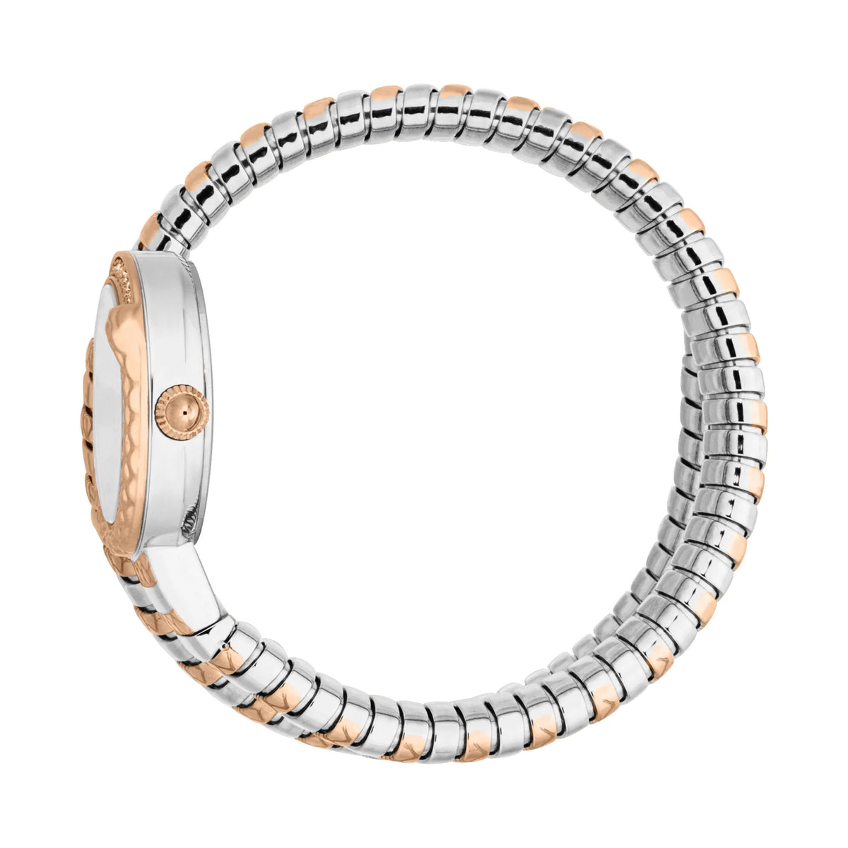 Just Cavalli Cerchio Snake Two Tones RG Silver Grey -korean beauty