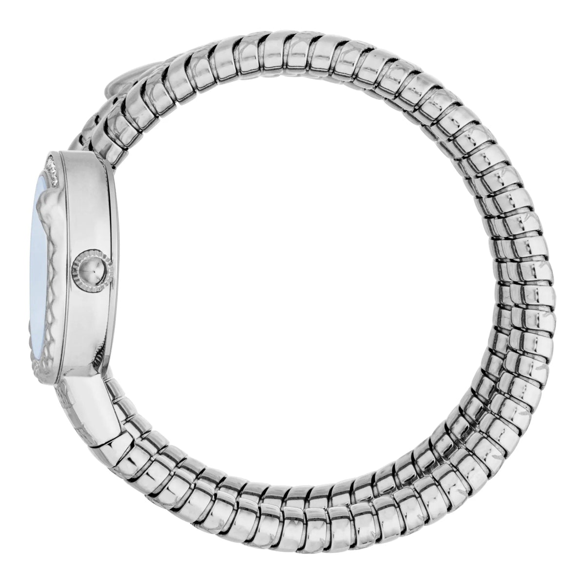 Just Cavalli Enchanting Silver Blue -korean beauty